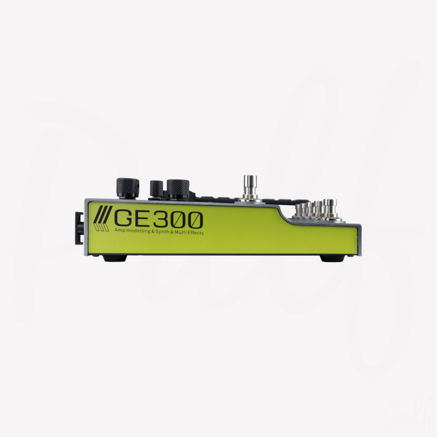 GE 300