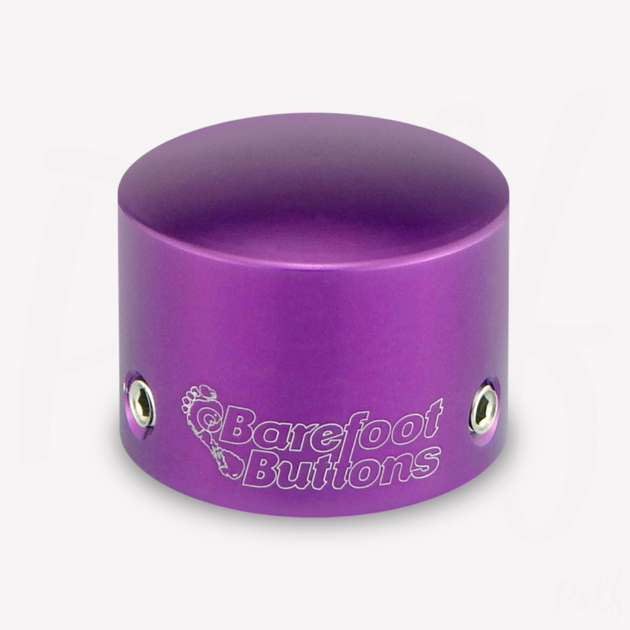V1 tallboy violet