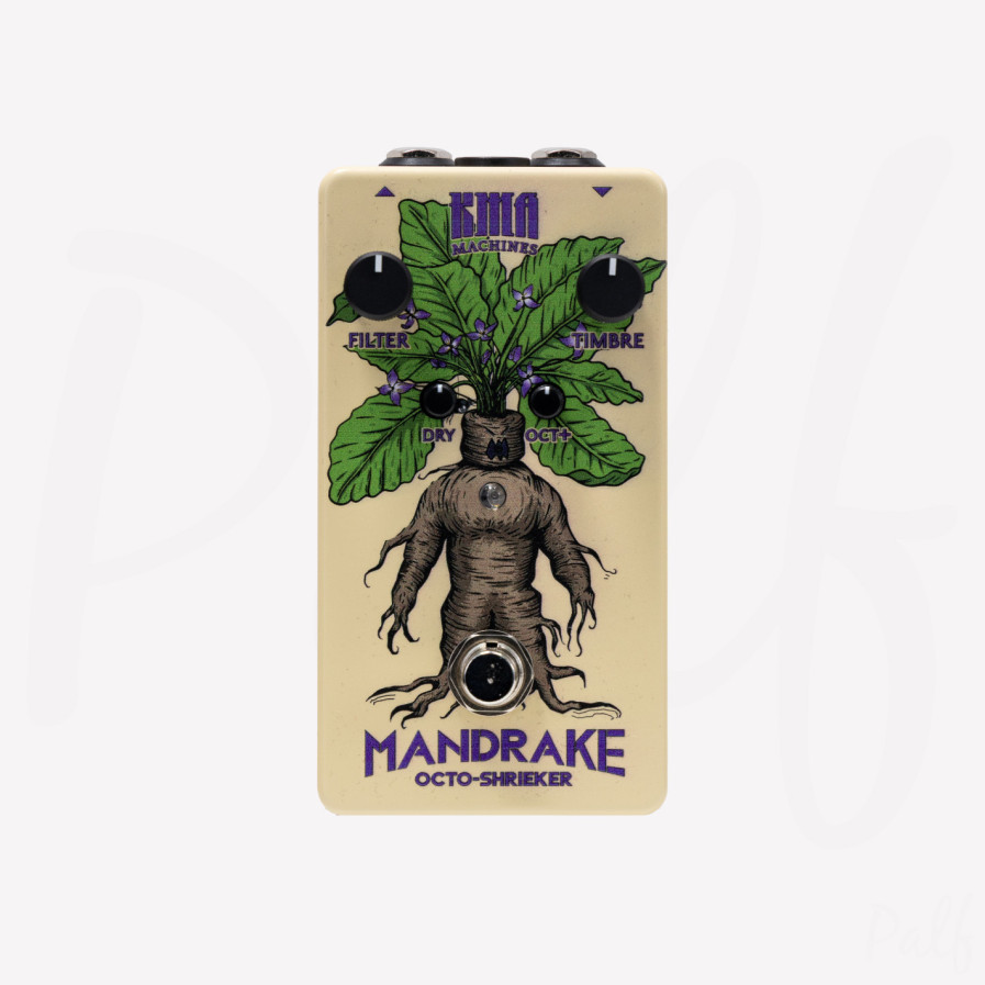 Mandrake