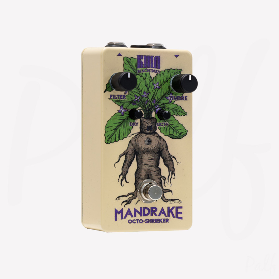 Mandrake