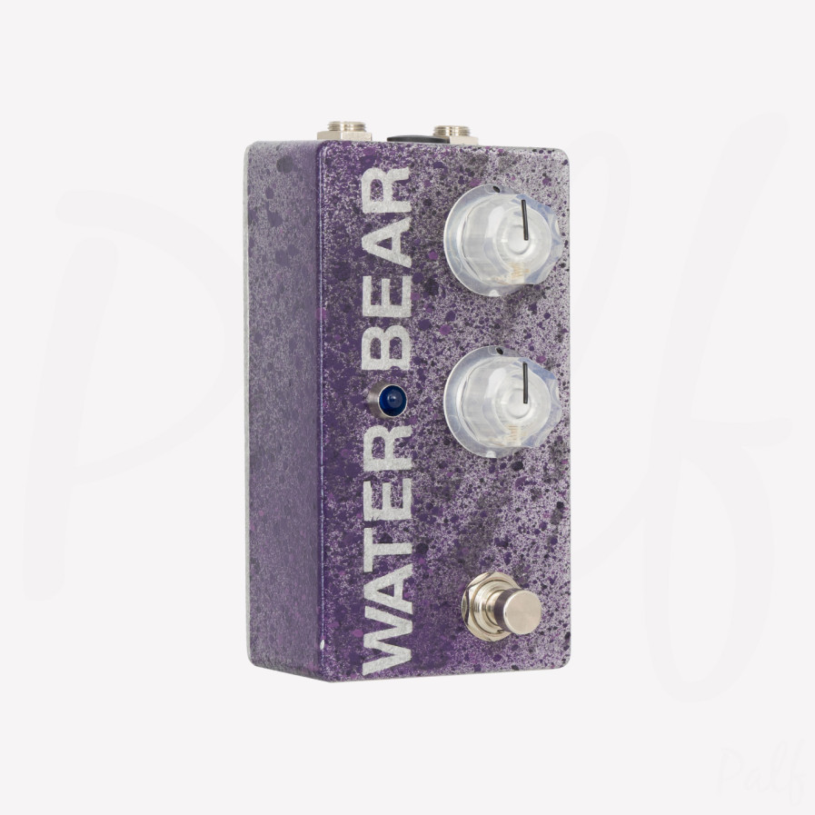 Water Bear