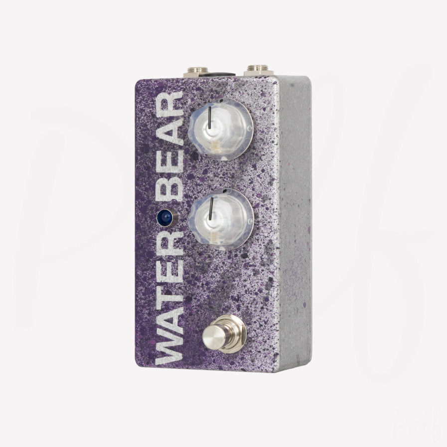 Water Bear