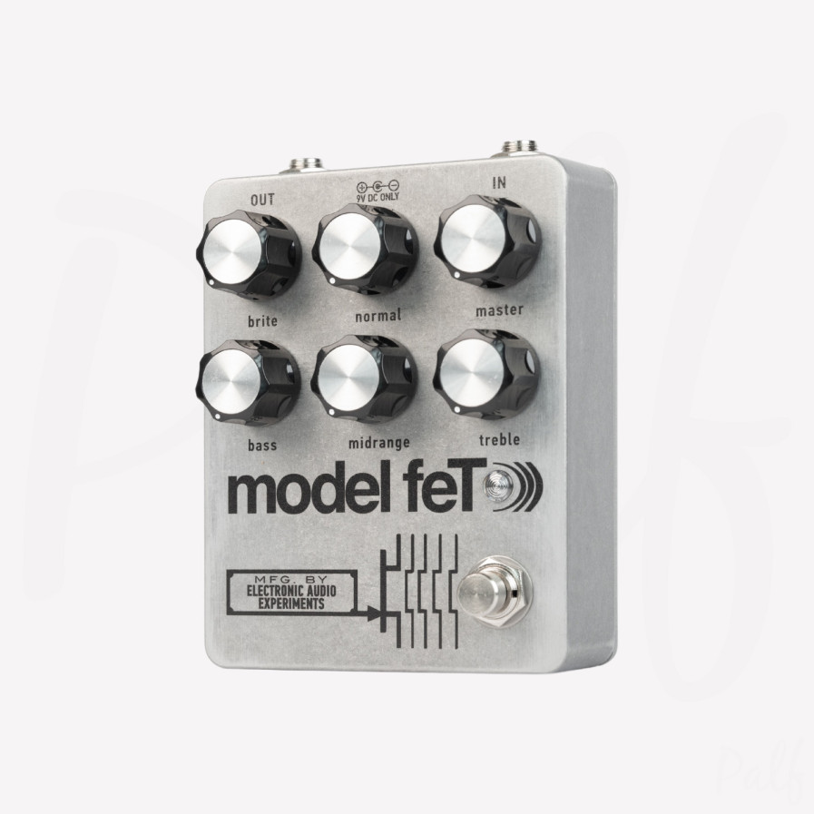 EAE model feT 限定カラー Sunn model T DSC00116.JPG?format=1500w